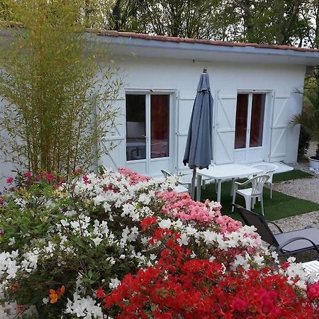 Chalet A Louer Pres De Dax Mées Exterior photo