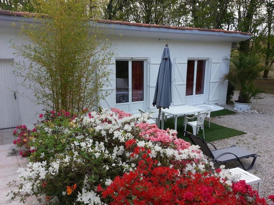Chalet A Louer Pres De Dax Mées Exterior photo
